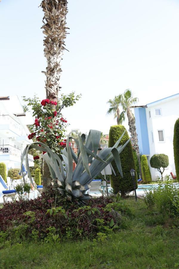 Papaya Apart Otel Side Exterior foto
